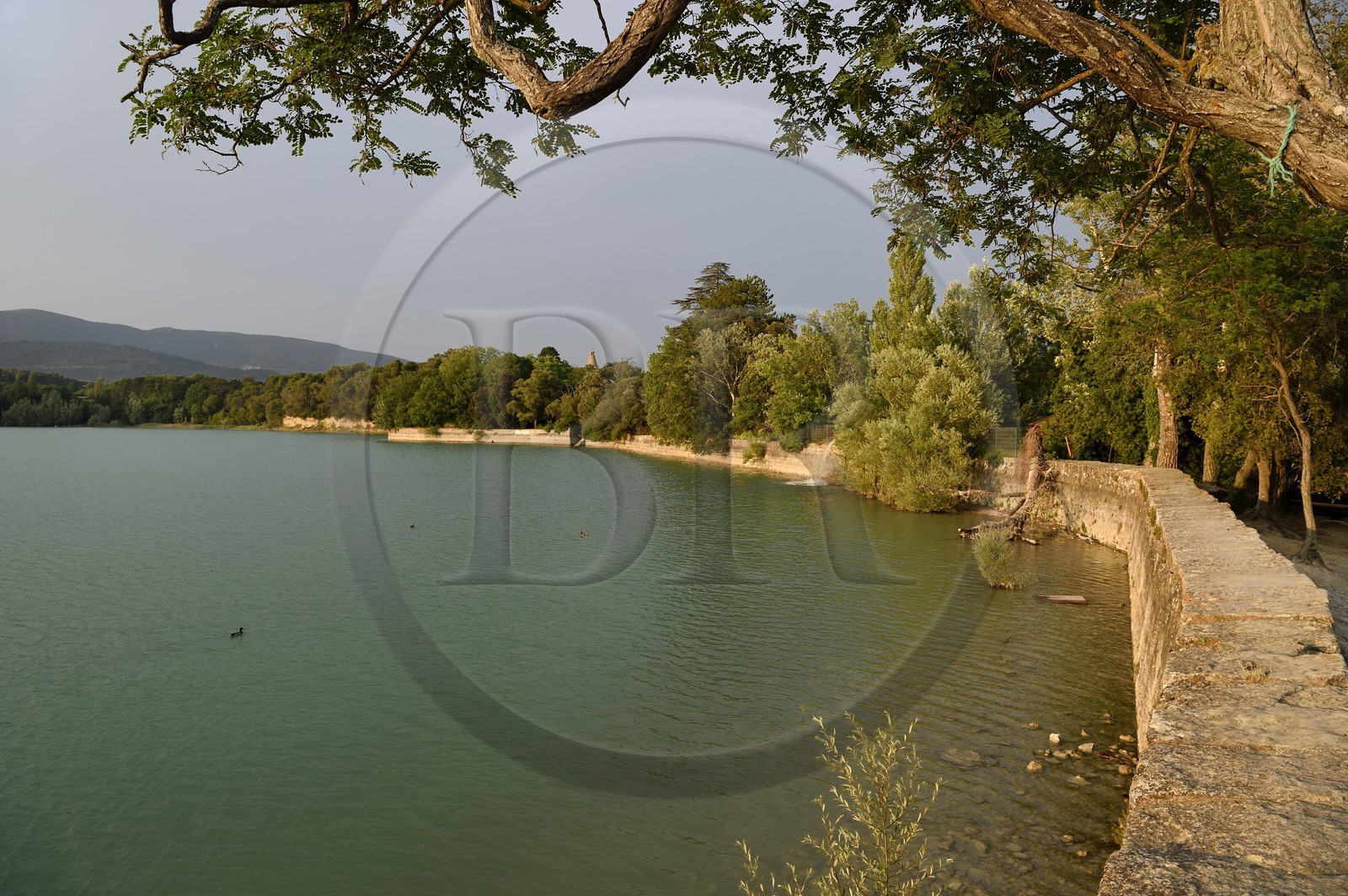 France, Vaucluse, Parc Naturel Regional du Luberon (Natural Regional Park of Luberon), La Tour d'Aigues, the etang de la Bonde (Bonde pond)