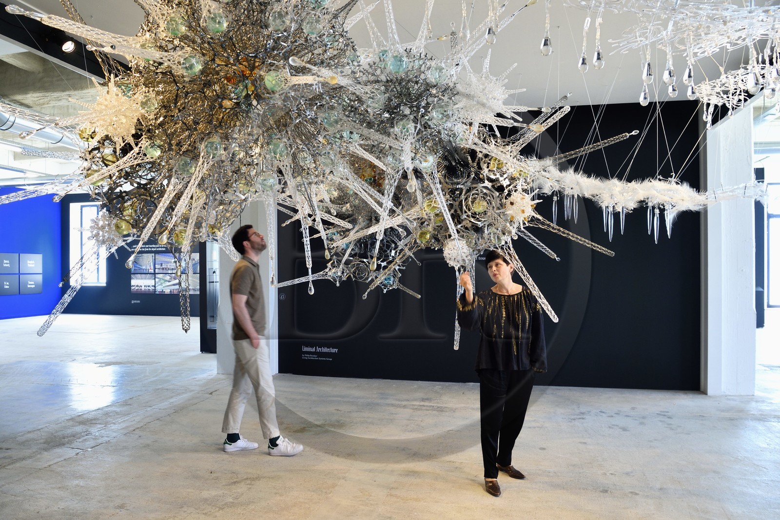 France, Charente (16), Cognac, Fondation d’Entreprise Martell, institution culturelle pluridisciplinaire (art, design et craft, architecture, musique, danse…), exposition Sagmeister & Walsh: Beauty, Liminal Architecture par Philip Beesley   Living Architecture Systems Group