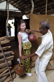 Sri Lanka, province centrale, district de Matale, Sigiriya, ville ancienne de Sigiriya classée patrimoine mondial de l'UNESCO, musée de l'ancien palais forteresse du Rocher du Lion, habillage en tenue traditionnelle