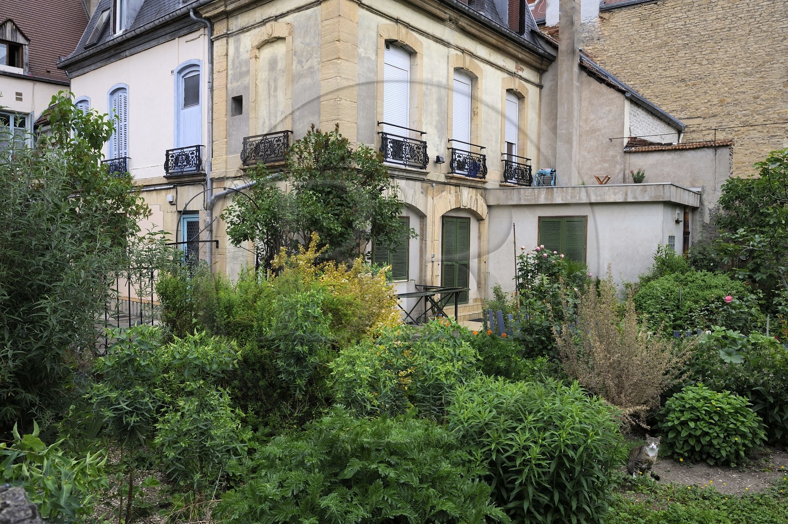 France, Côte d'Or (21), Dijon, jardin privé d'une maison rue Berbisey