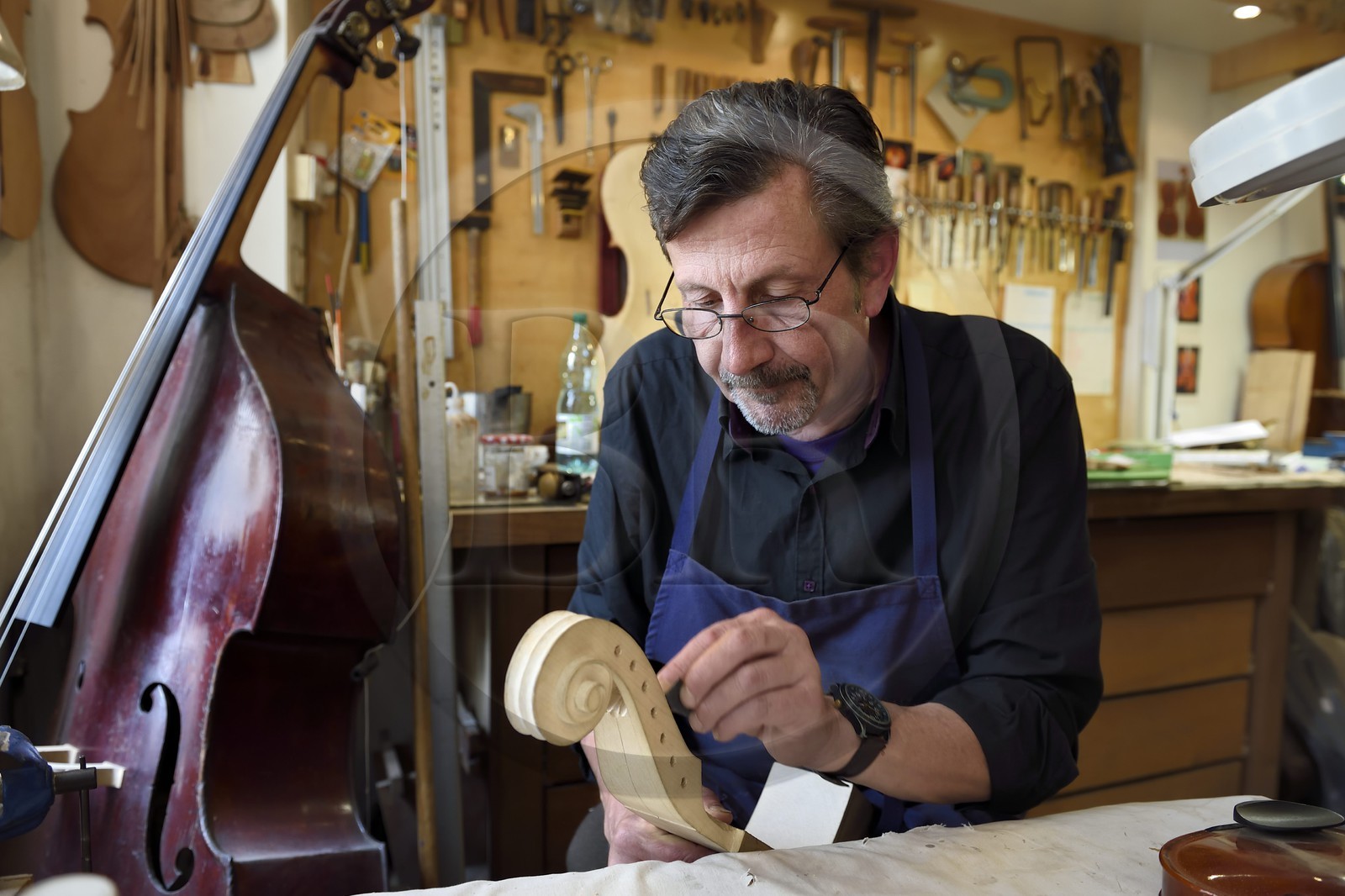 France, Dordogne (24), Périgord Blanc, Périgueux, le luthier Damien Florio dans son atelier de la rue Aubergerie