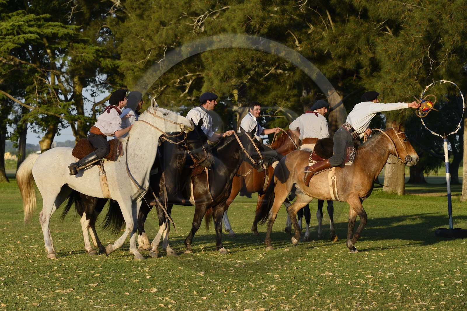 Argentina, Buenos Aires Province, San Antonio de Areco, estancia La Bamba de Areco, gauchos playing Pato (horse-ball) that is an equestrian team sport, mixture of rugby and basketball with horse