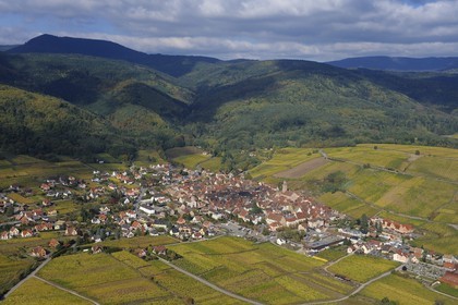 France, Haut Rhin, Riquewihr and its vineyard at the bottom of Vosges Massif (aerial view)