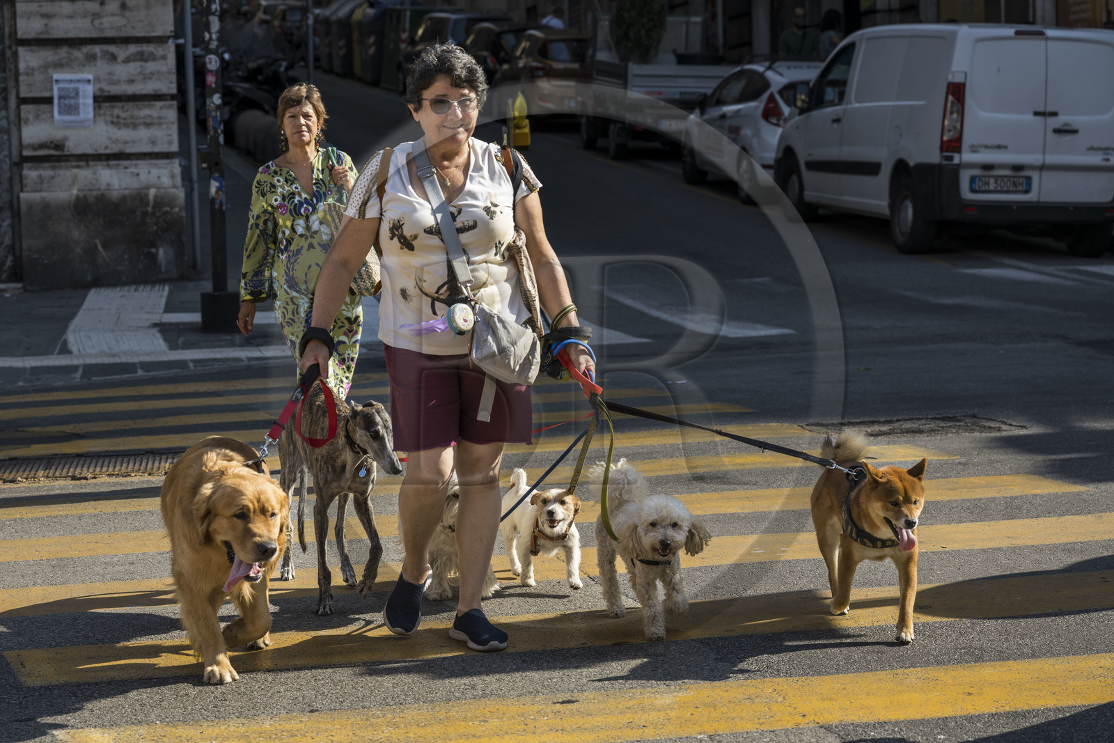 Italie, Ligurie, Gênes, promeneuse de chiens de retour du Castelletto