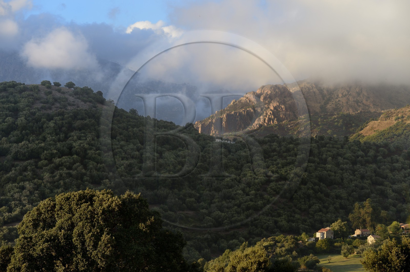 France, Corse-du-Sud (2A), région de Sartène, village de Fozzano