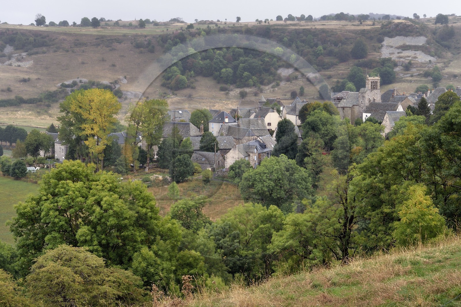 France, Cantal (15), Parc naturel régional de l'Aubrac, plateau de l'Aubrac, Saint-Urcize