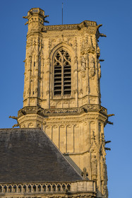 France, Nièvre (58), Nevers, cathédrale Saint-Cyr-et-Sainte-Julitte, la tour Bohier