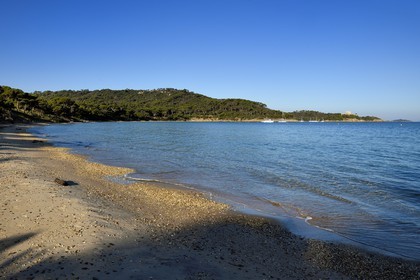 France, Var (83), Iles d'Hyères, parc national de Port Cros, Ile de Porquerolles, Baie de  l'Alycastre, plage Notre-Dame et le Fort de l'Alycastre en arrière plan