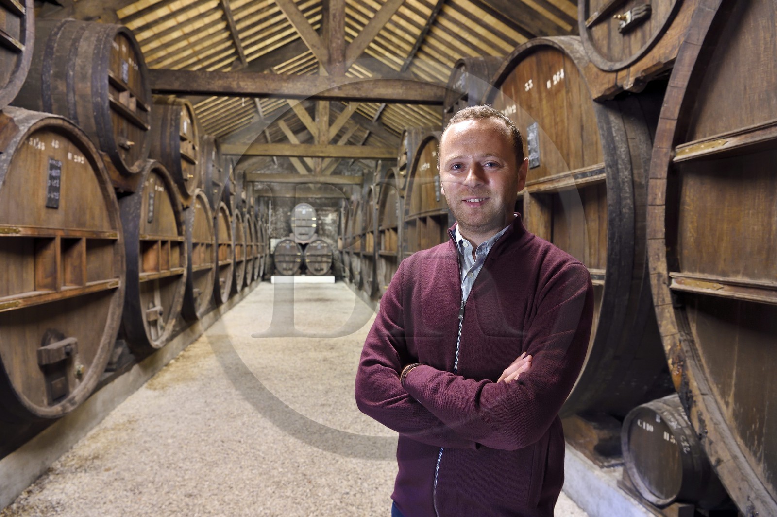 France, Calvados, Pays d'Auge, Saint Cyr du Ronceray, Jean-Roger Groult producer of the Calvados Roger Groult AOC Pays d'Auge for five generations, barrels in aging cellars