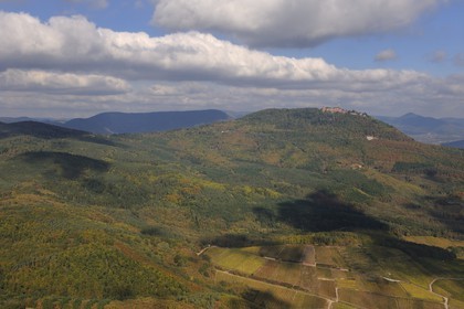 France, Bas-Rhin (67), le château du Haut-Koenigsbourg et les vignobles du Haut-Rhin au pied du Parc Régional des Ballons (photo aérienne)