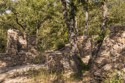 France, Var (83), Provence Verte, Bras, Académie du Bain de Forêt Provençale, forêt du domaine Le Peyrourier - une campagne en Provence