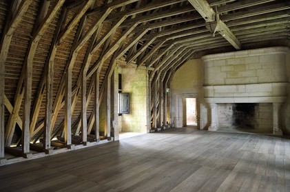 France, Dordogne, Périgord Vert, Villars, Puyguilhem castle, the oak beams in overturned hull boat shaped