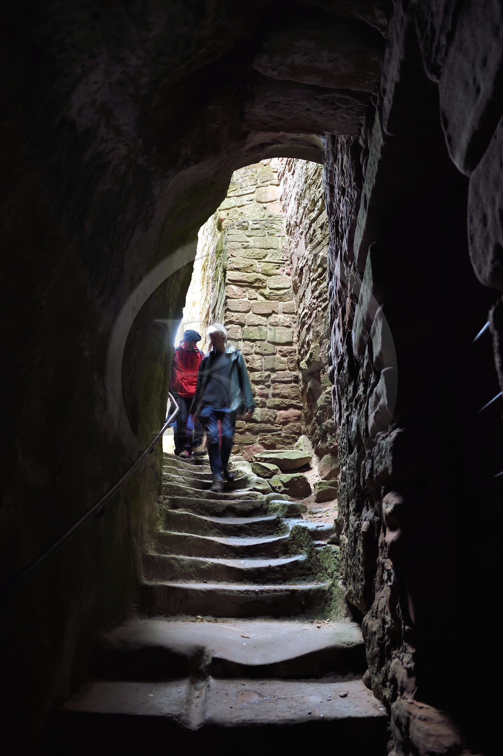 France, Bas Rhin, Northern Vosges Regional Natural Park, Lembach, Fleckenstein Castle, hikers in the troglodyte stairs