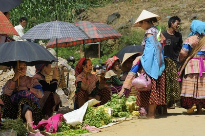 Vietnam, province de Lao Cai, région de Bac Ha, marché de Can Cau, femmes de la minorité Hmong Fleur