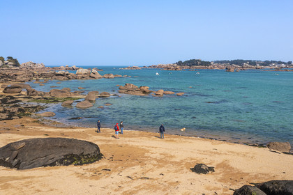 France, Côtes-d'Armor (22), Côte de Granit Rose, Trégastel, Ile Renote, la plage à marée basse (vue aérienne)