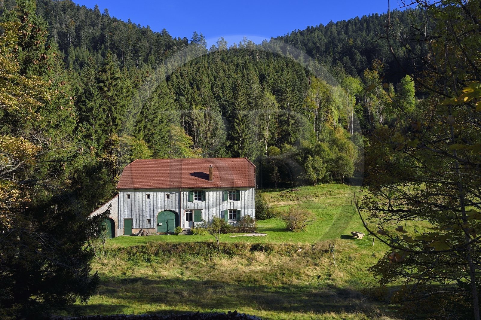 France, Vosges (88), Le Valtin, village de la haute-vallée de la Meurthe, facade de ferme recouverte de tavaillons ou ancelles de bois servant à la protection contre les intempéries