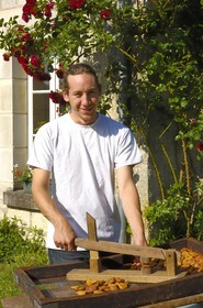 France, Indre et Loire (37), Vallée de la Loire classée Patrimoine Mondial de l' UNESCO, Rivarennes, les poires tapées à l'ancienne de (Christine et) Yves Herin