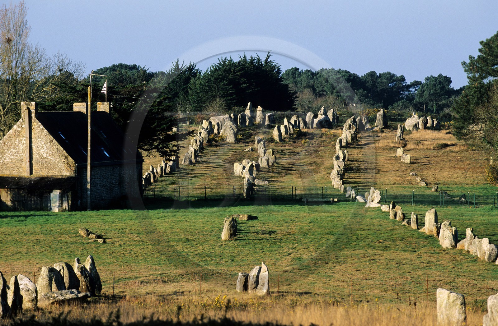 France, Morbihan (56), les mégalithes de Carnac, alignements de Kermario