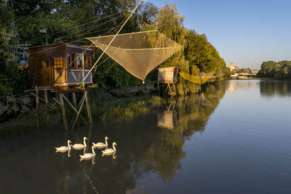 France, Charente-Maritime (17), Saintonge, Saint-Savinien, labellisé Villages de pierres et d'eau, ponton de peche au carrelet au bord de la Charente et le village en arrière plan (vue aérienne)