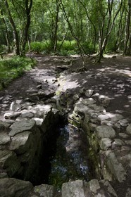 France, Ille-et-Vilaine (35), forêt de Brocéliande, la fontaine de Barenton