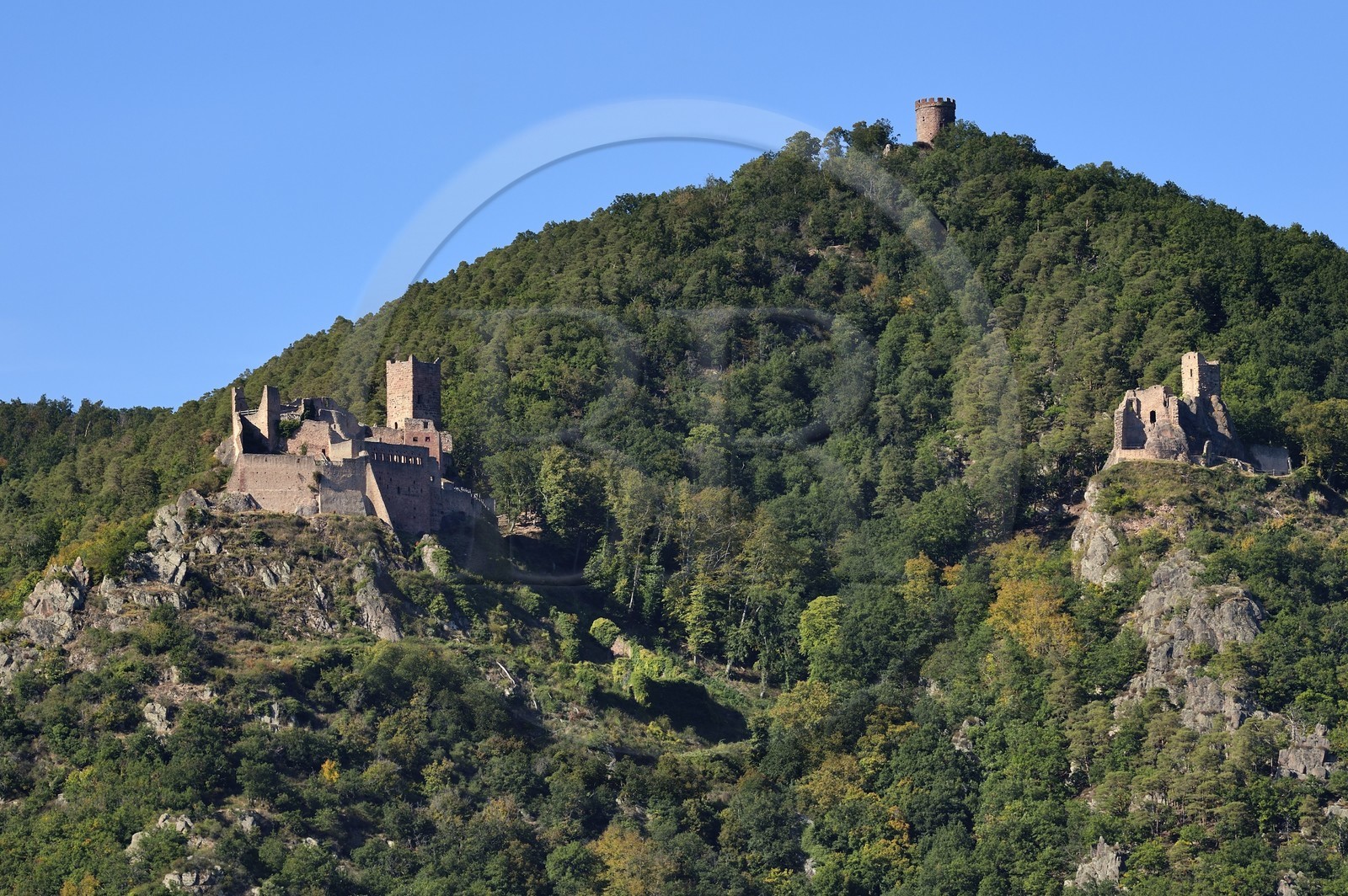 France, Haut-Rhin (68), Route des vins d'Alsace, Ribeauvillé, le chateau Saint-Ulrich à gauche, le chateau de Girsberg à droite et la tour du chateau du Haut-Ribeaupierre (ou Altenkastel) en hauteur