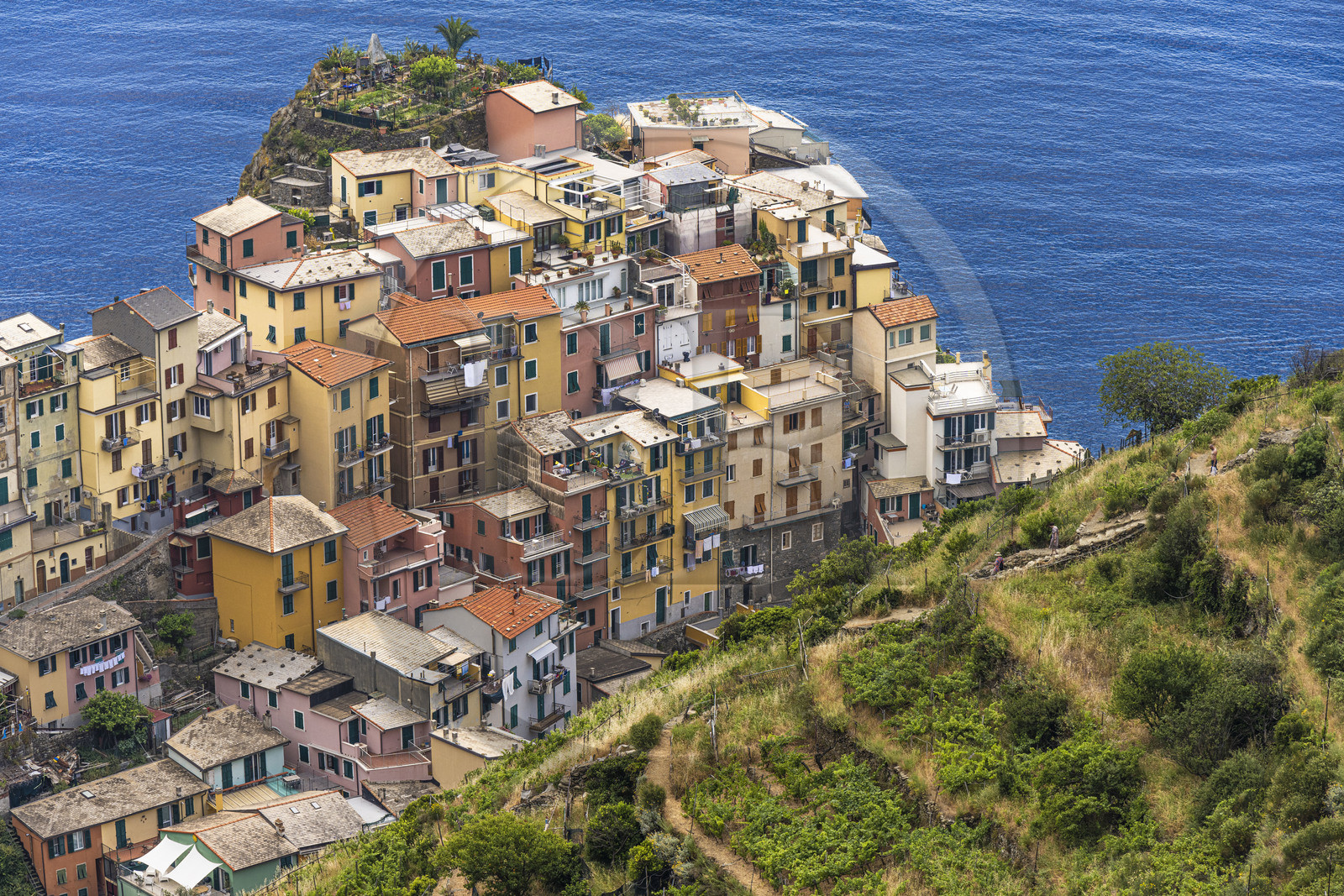 Italie, Ligurie, Cinque Terre, parc national des Cinque Terre classé Patrimoine Mondial de l'UNESCO, village de Manarola
