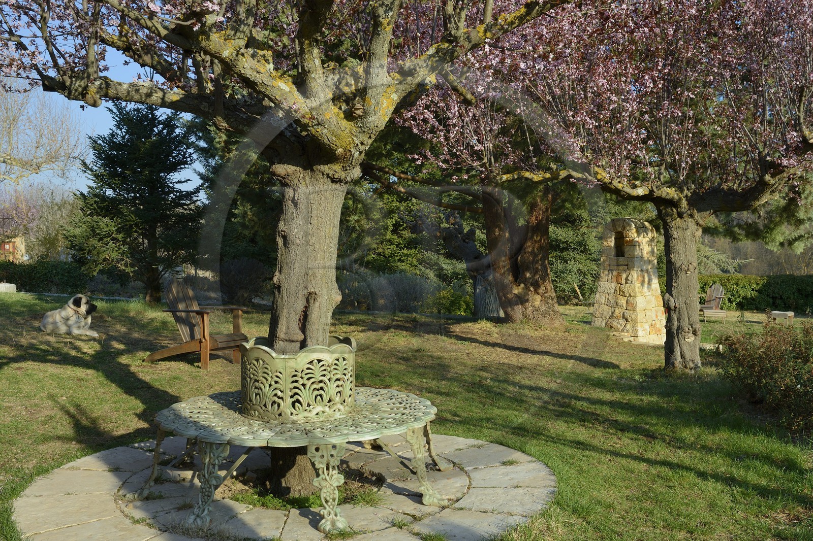 France, Var (83), Provence Verte, Bras, vers Saint-Maximin-la-Sainte-Baume, la maison d'hôtes Le Peyrourier, une campagne en Provence