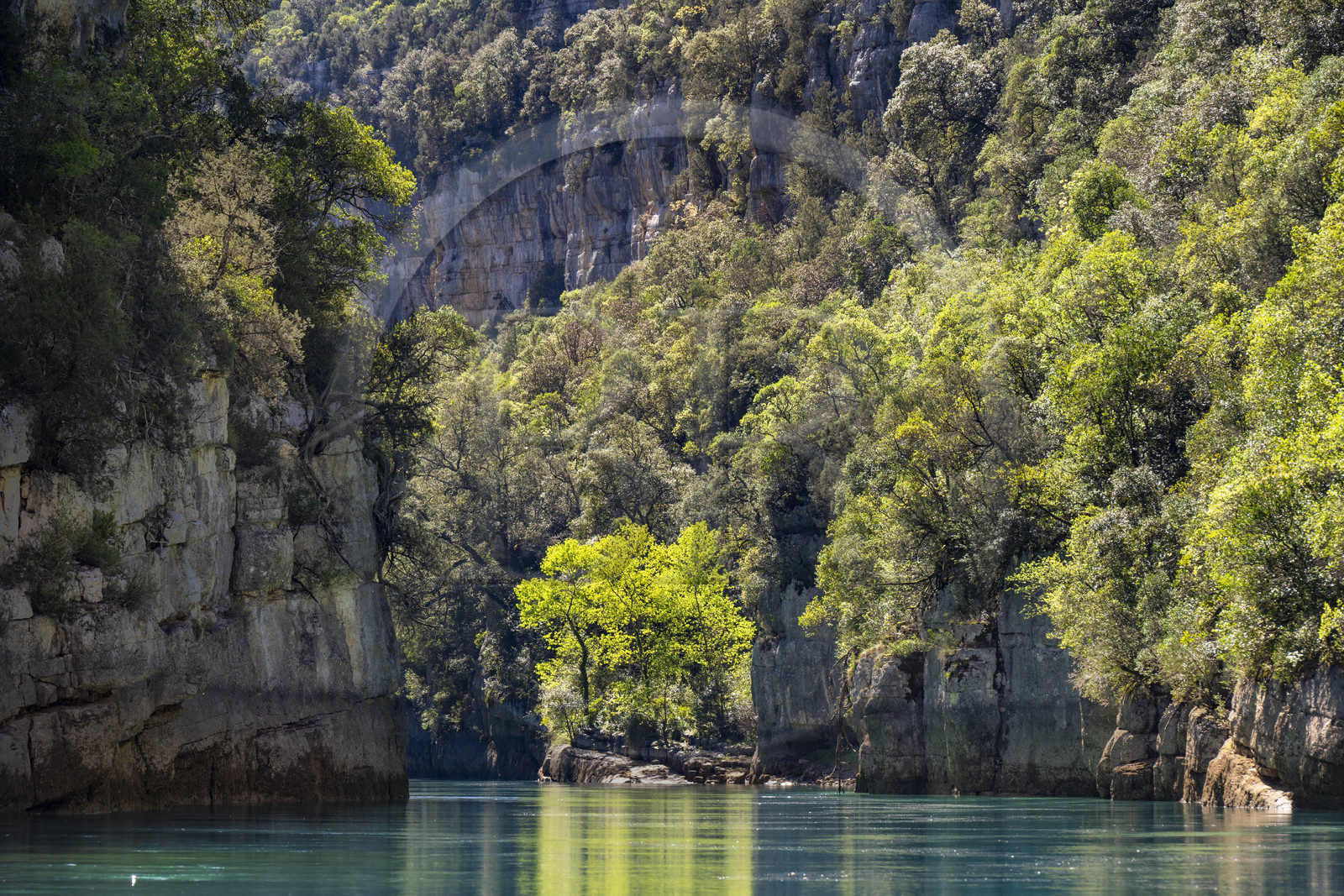 Var (83) rive gauche et Alpes-de-Haute-Provence (04) rive droite, Parc Naturel Régional du Verdon, Basses Gorges du Verdon en aval du lac de Sainte Croix, gorges de Baudinard