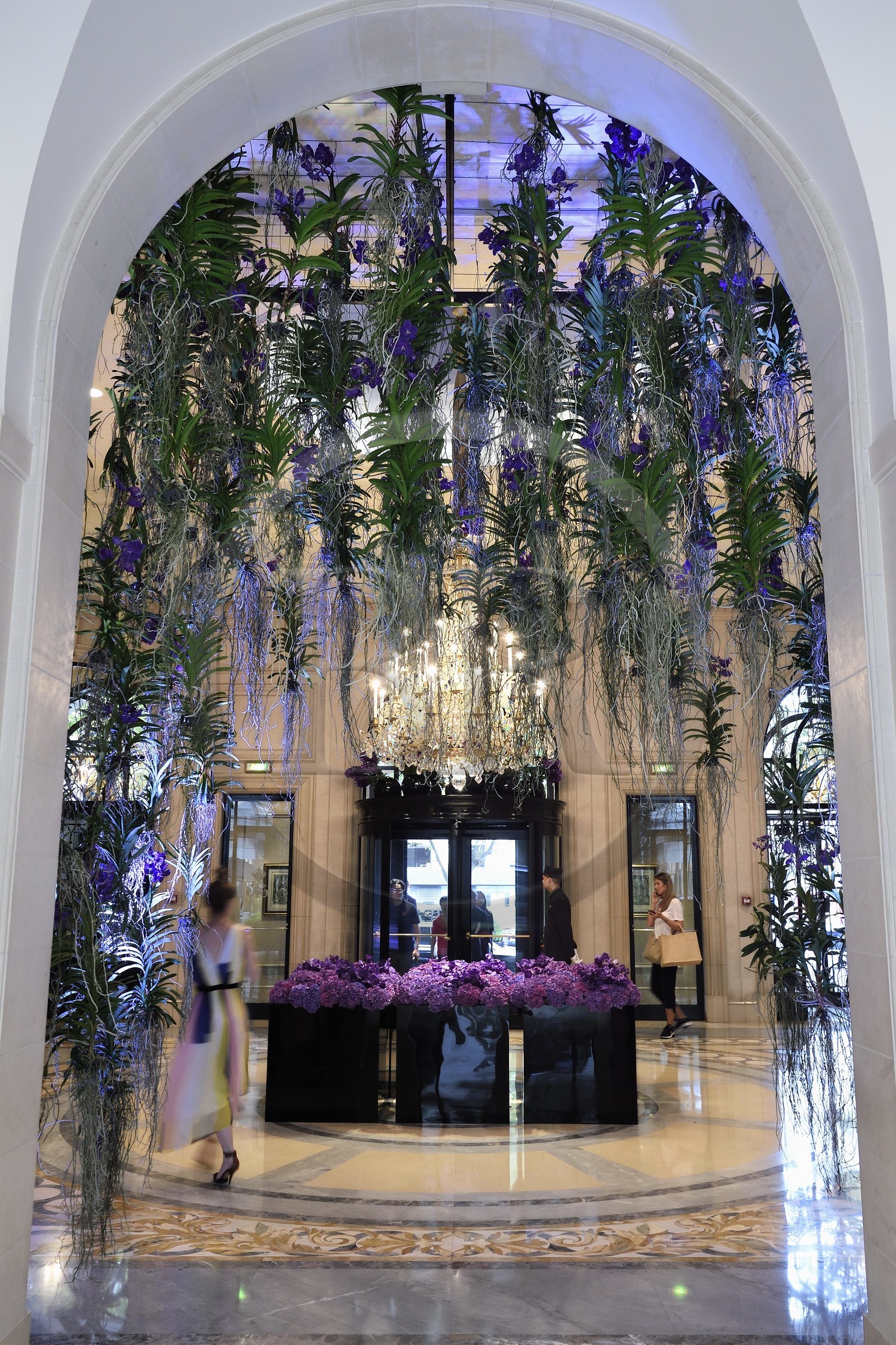 France, Paris (75), Four Seasons Hotel George V