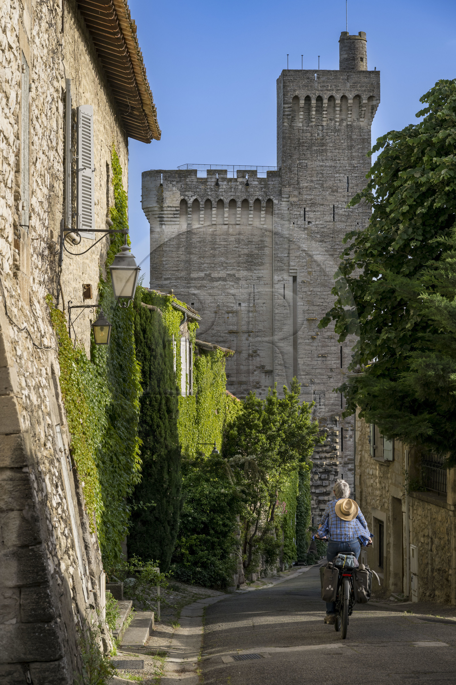 France (30), Gard, Villeneuve-lès-Avignon, la tour Philippe Le Bel du XIVe siècle