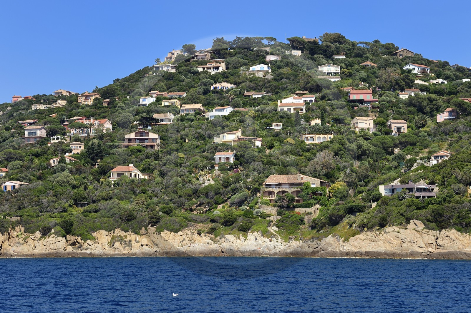 France, Var (83), Iles d'Hyères, Parc national de Port Cros, Ile du Levant, domaine naturiste d'Héliopolis