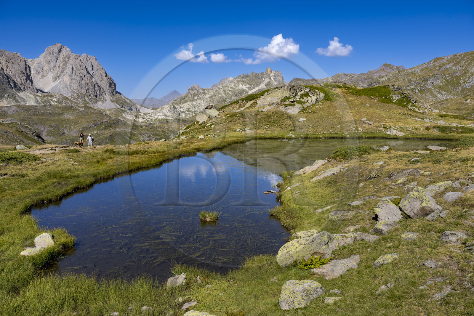 France, Hautes Alpes, Briancon region, Nevache, the upper Clarée valley, hikers at the small lake between Lac Long and Lac Rond, the Cerces massif in the background