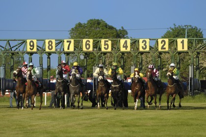 Republic of Ireland, County Meath, Ratoath, Fairyhouse racecourse, horse race start