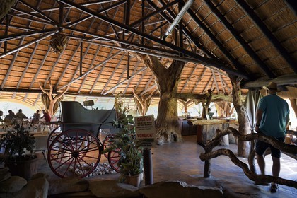Namibia, Khomas region, north of Windhoek, Okapuka Ranch, the lodge restaurant