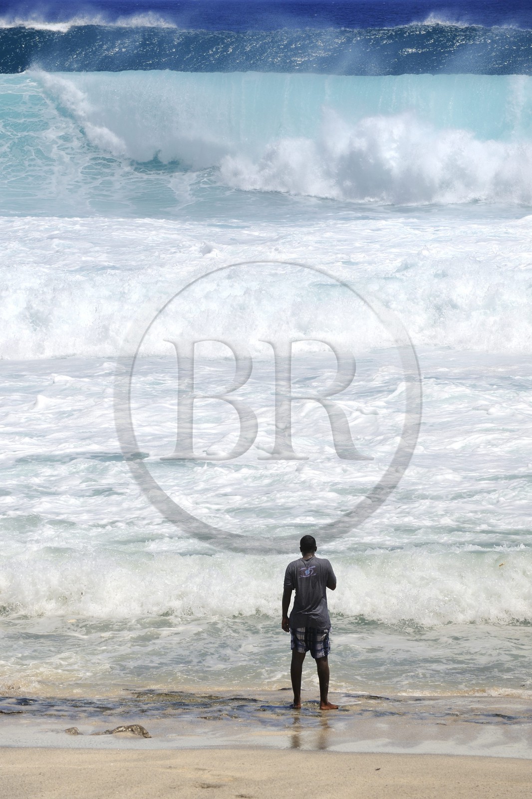 France, île de la Réunion, la côte sud, plage de Grand-Anse