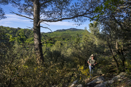 France, Vaucluse (84), Dentelles de Montmirail, Crestet, randonneur sur le GR de Pays vers la Croix de Verrière et la crête de Saint-Amand vue du Sud en arrière plan