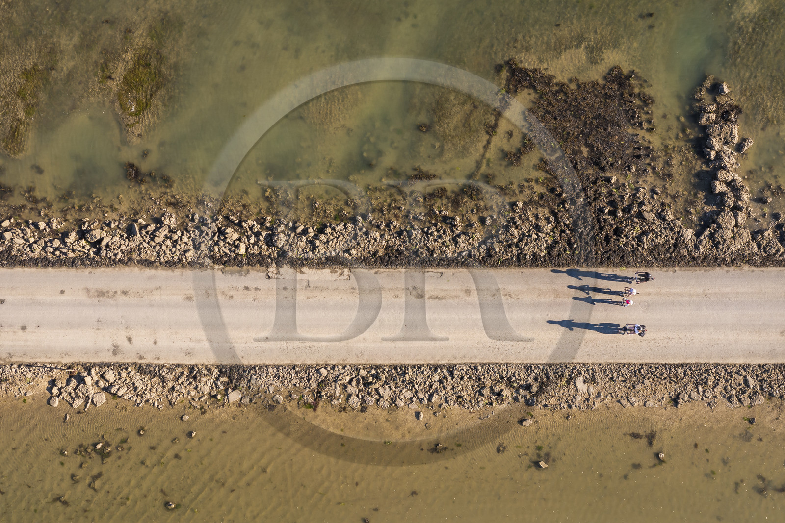France, Vendée (85), île de Noirmoutier, Barbatre, cyclistes sur le passage du Gois à marée montante, chaussée submersible qui relie l'île au continent à marrée basse (vue aérienne)