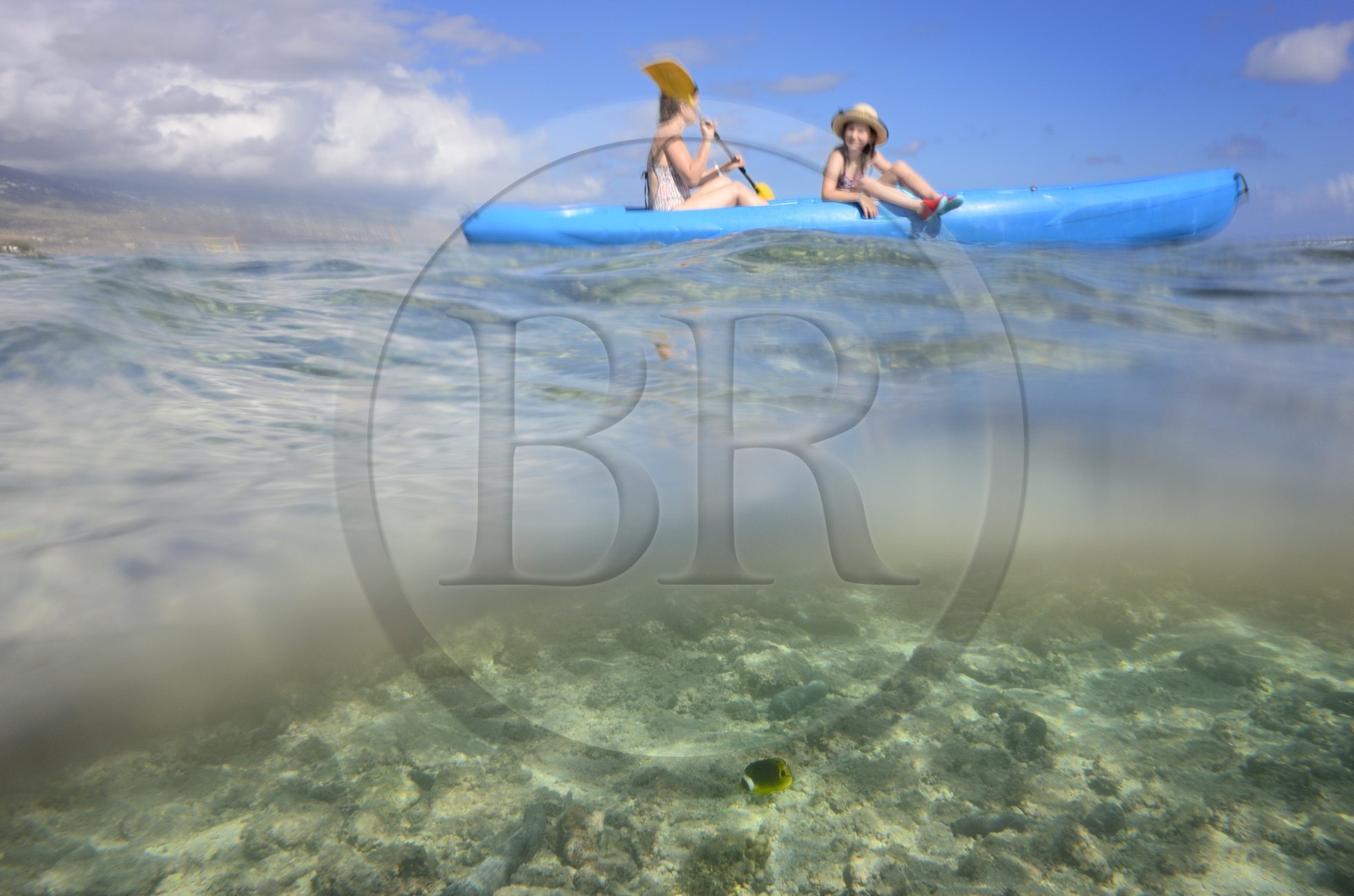 France, Ile de la Reunion, Côte Ouest, Saint-Gilles-Les-Bains (commune de Saint-Paul), kayak sur le récif corallien du lagon de l'Ermitage et de La Saline-Les-Bains (vue sous-marine)
