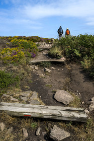 France, Cotes d'Armor, Grand Site de France Cap d'Erquy - Cap Frehel, Erquy, hikers at Anse de Port-Blanc on the GR 34 hiking trail