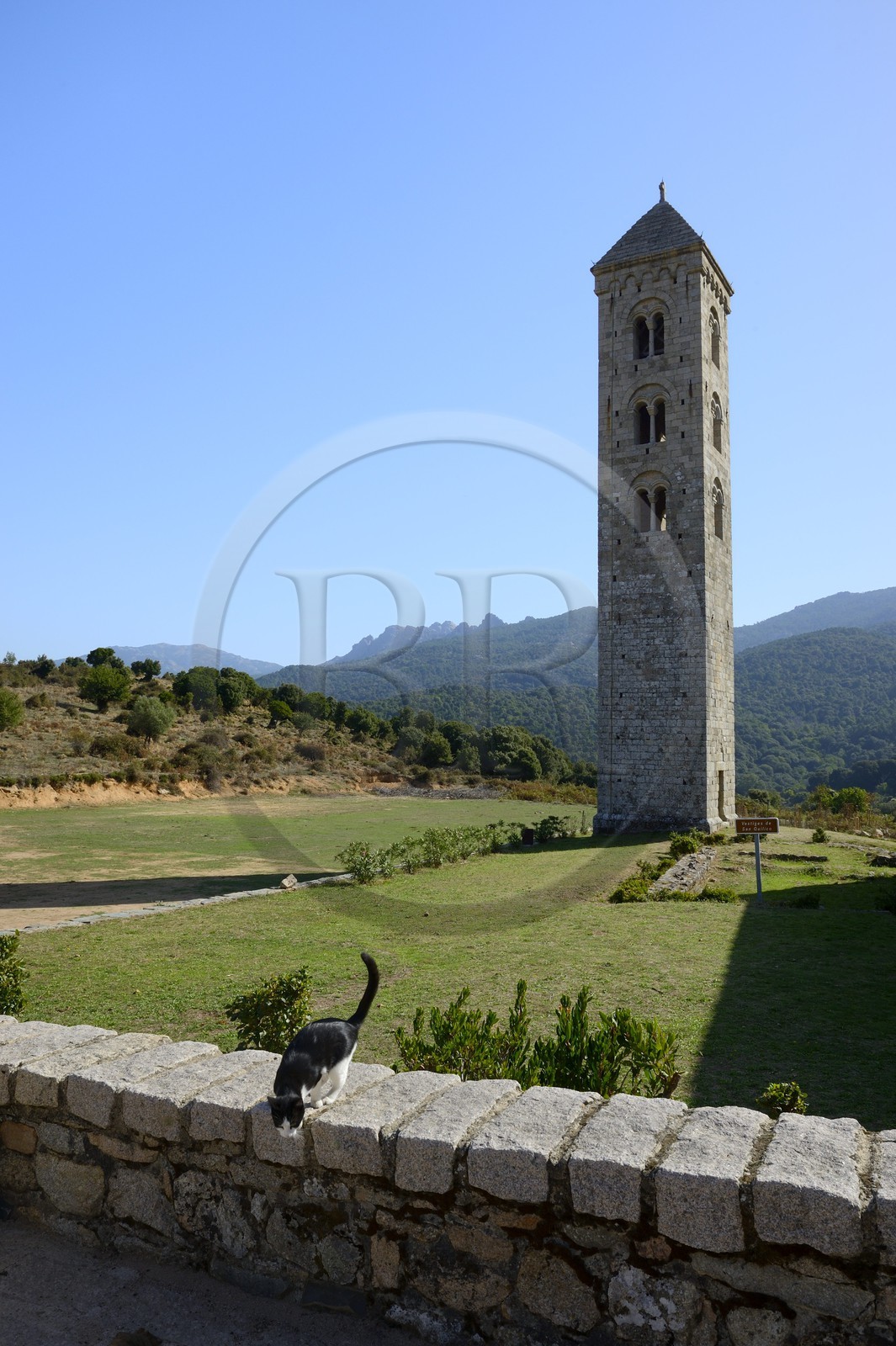 France, Corse-du-Sud (2A), Alta Rocca, Carbini, le campanile de l'église Saint-Jean-Baptiste, le village était au coeur du mouvement hérétique des Giovannali