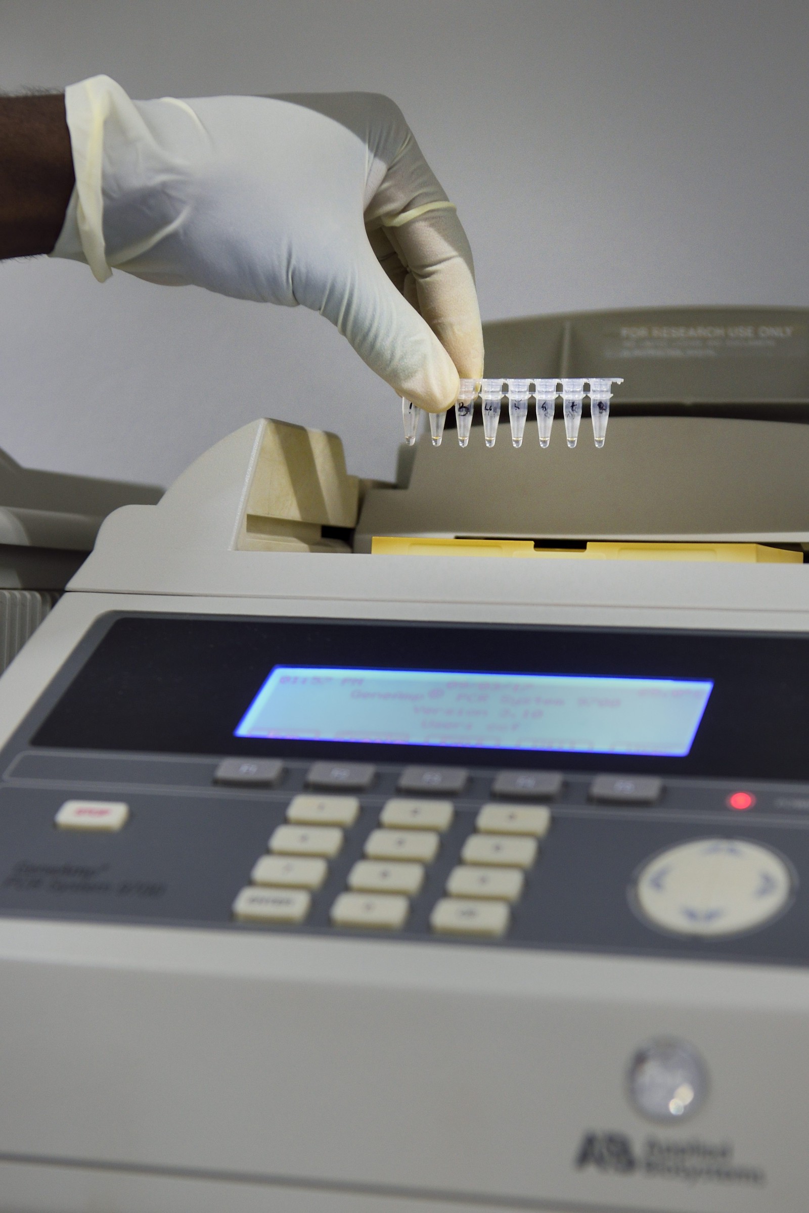 Namibie, Otjiwarongo, Cheetah Conservation Fund, centre de recherche et d'éducation, Life Technologies Conservation Genetics Laboratory, machine à PCR qui amplifie l'ADN