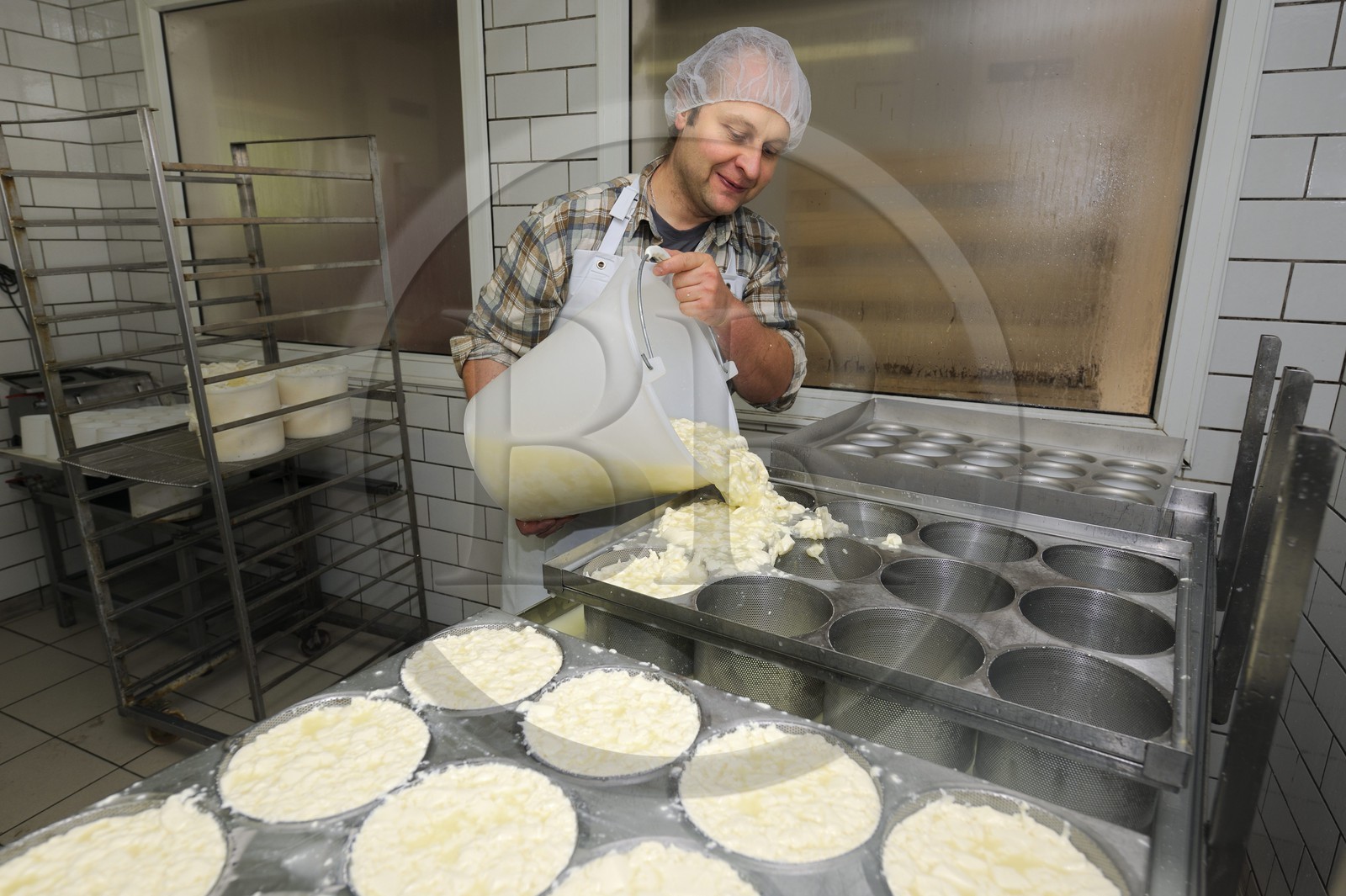 France, Haut-Rhin (68), la route des Crêtes, ferme auberge marcaire du Grand Hêtre, Jean-Mathieu Spenlé prépare le fromage munster