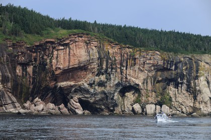 Canada, province de Québec, Gaspésie, île Bonaventure