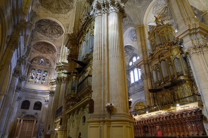 Spain, Andalusia, Malaga, the cathedral, Catedral Basílica de la Encarnacion