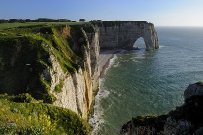 France, Seine-Maritime (76), Pays de Caux, Côte d'Albâtre, Etretat, la falaise d'Aval et La Manneporte