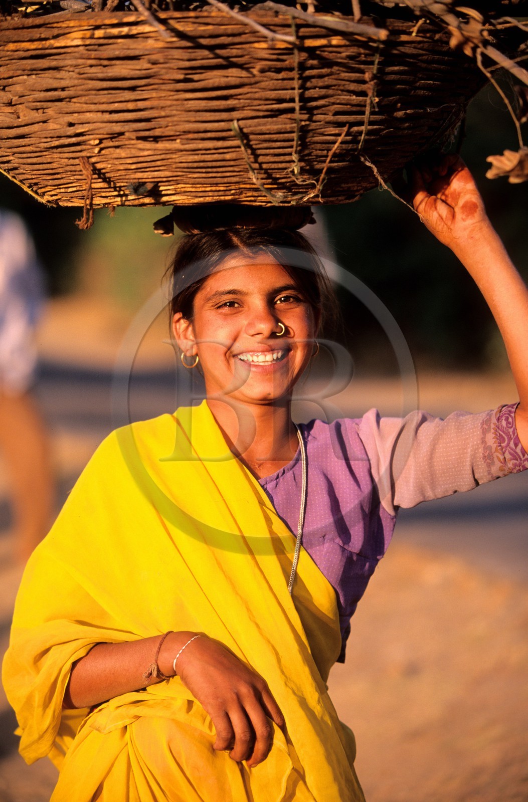 India, Rajasthan State, Kumbhalgarh area, despite if they're young, Rajasthani women carrying burden in the countryside
