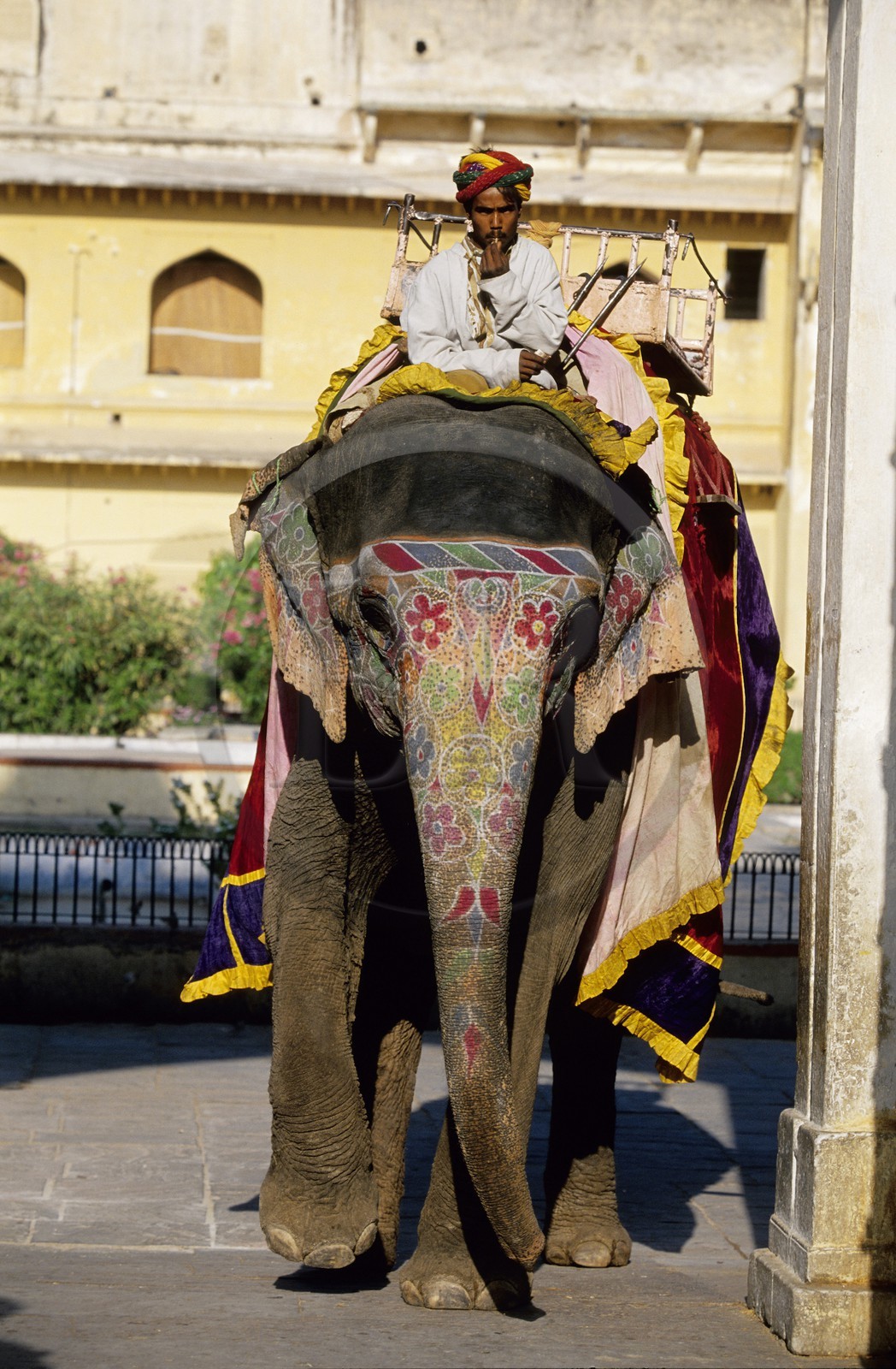 Inde, état du Rajasthan, région de Jaipur, Amber Palace, éléphant peint de couleurs vives et son conducteur