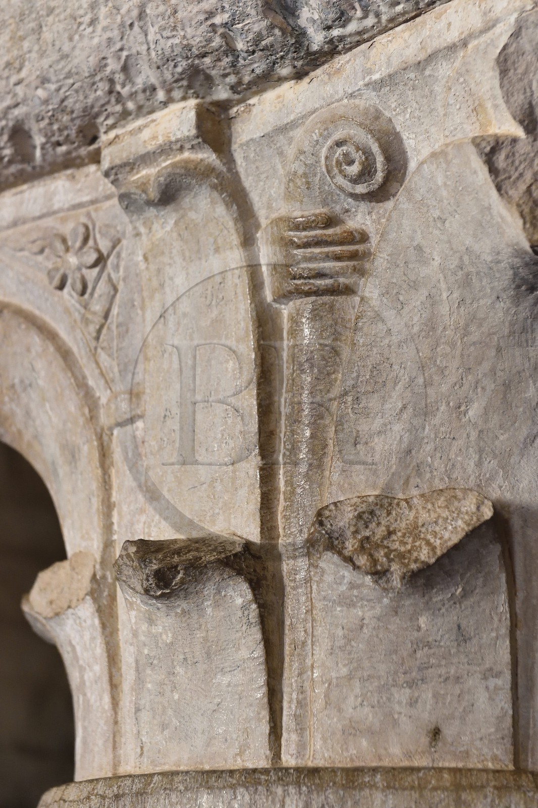 France, Var (83), Abbaye cistercienne du Thoronet, la salle capitulaire du cloitre