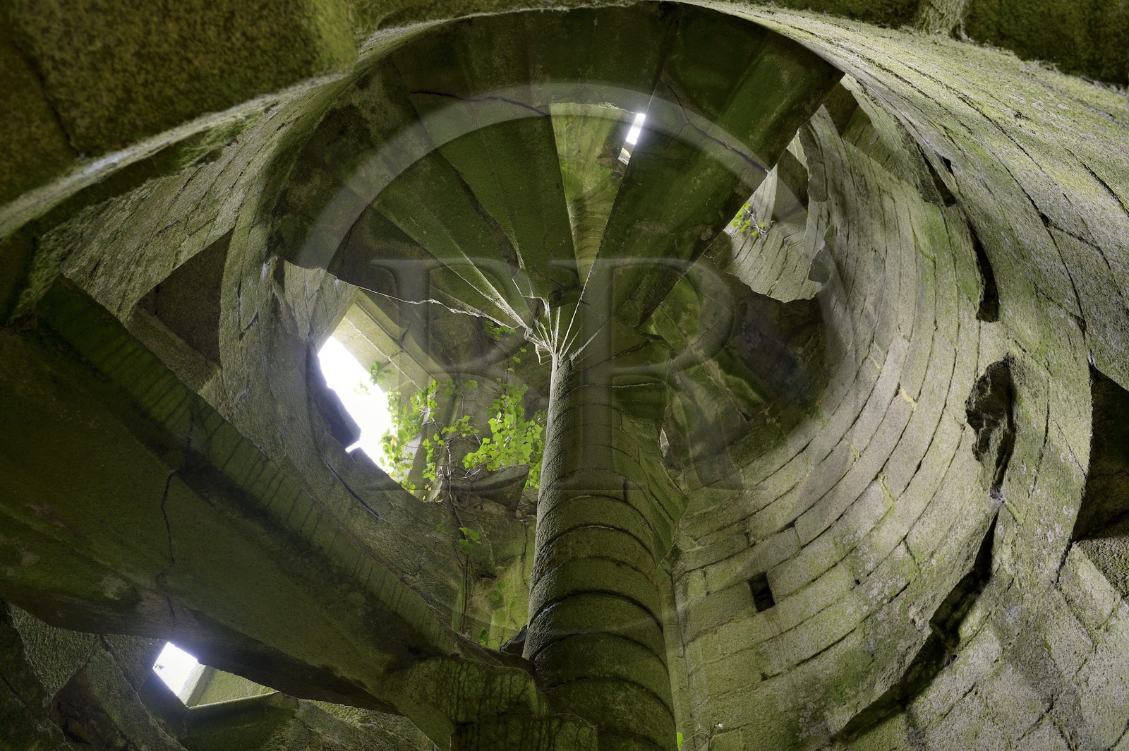France, Finistère (29), Pont-Aven, Nizon, chateau de Rustephan, ancien manoir du XVe et du XVIe siècle en ruine