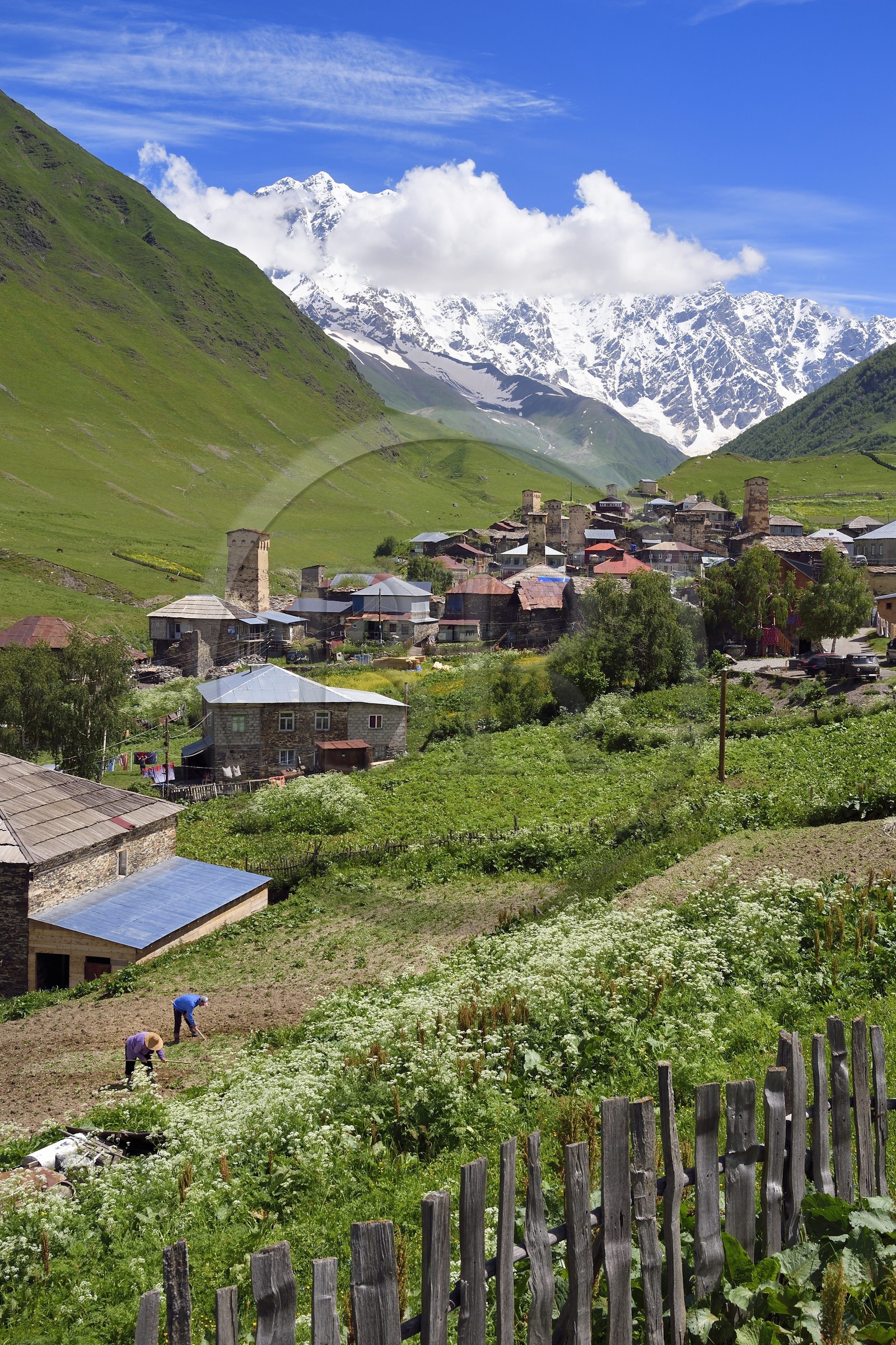 Georgia, Upper Svaneti (Zemo Svaneti), village of Ushguli, listed as World heritage by UNESCO, Svan defensive towers erected next to the houses and Mount Chkhara (highest peak in Georgia with 5,193 m) in the background, two farmers plow their field
